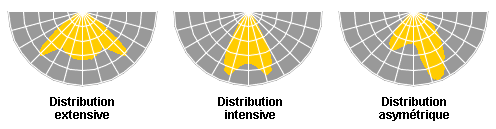 Schéma distribution extensive, intensive et asymétrique.
