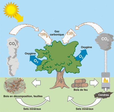Etude de l'impact de la combustion de bois sur la qualité de l'air